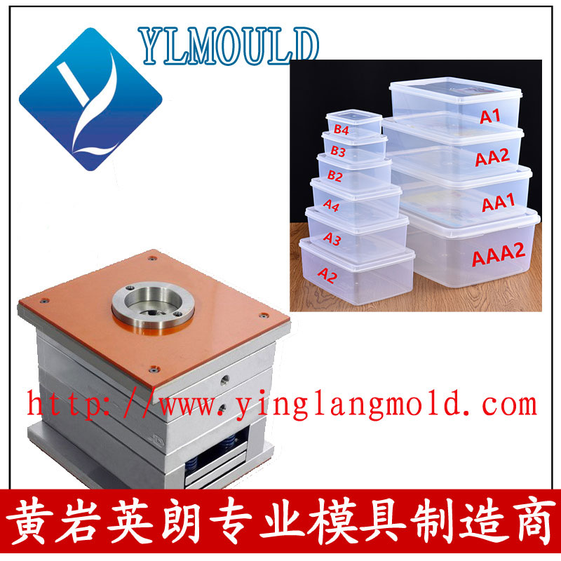 Commodity Mould/Crisper Mould 14