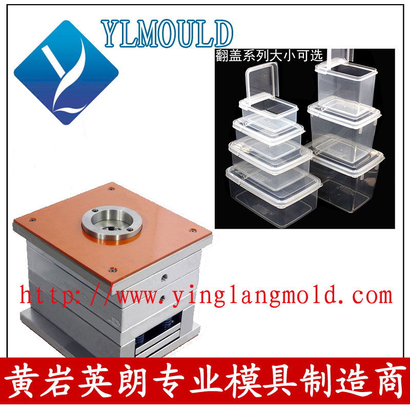 Commodity Mould/Crisper Mould 10