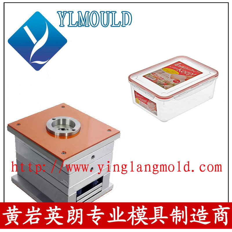 Commodity Mould/Crisper Mould 04