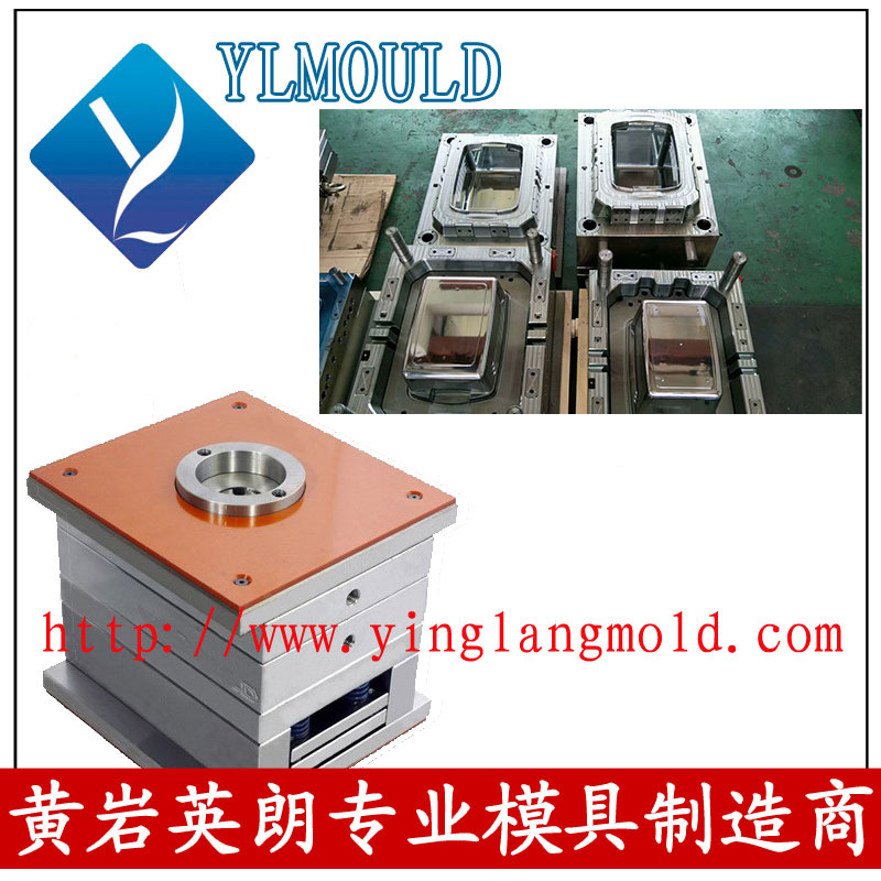 Commodity Mould/Crisper Mould 18