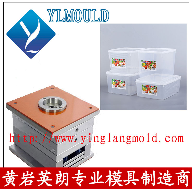 Commodity Mould/Crisper Mould 08