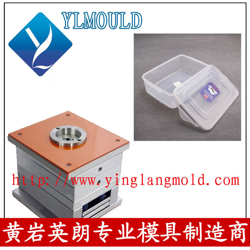 Commodity Mould/Crisper Mould 33