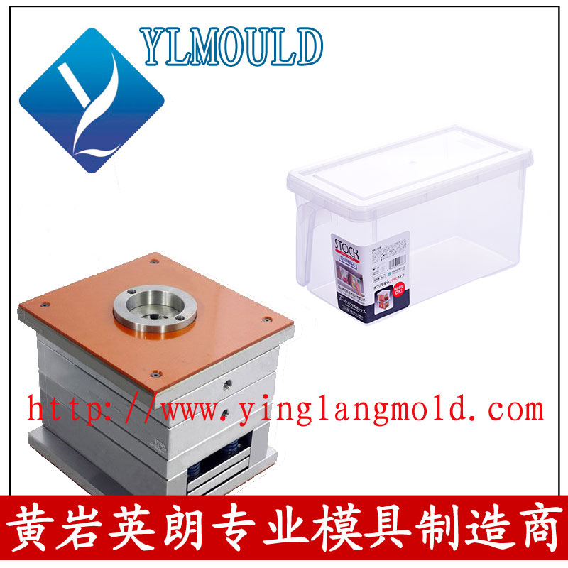 Commodity Mould/Crisper Mould 06