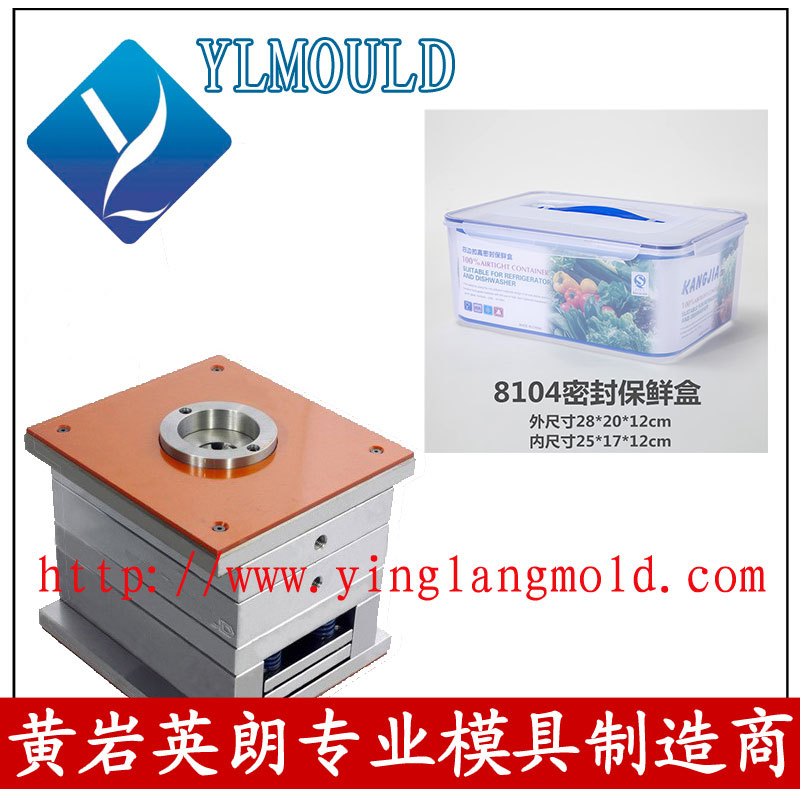 Commodity Mould/Crisper Mould 13