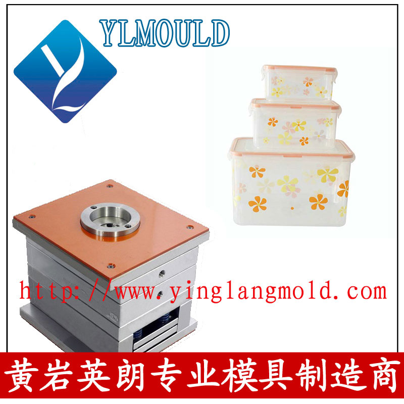 Commodity Mould/Crisper Mould 11