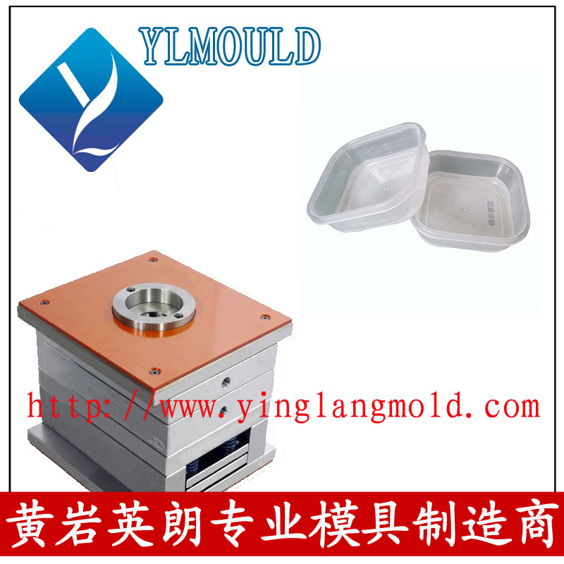 Commodity Mould/Crisper Mould 19