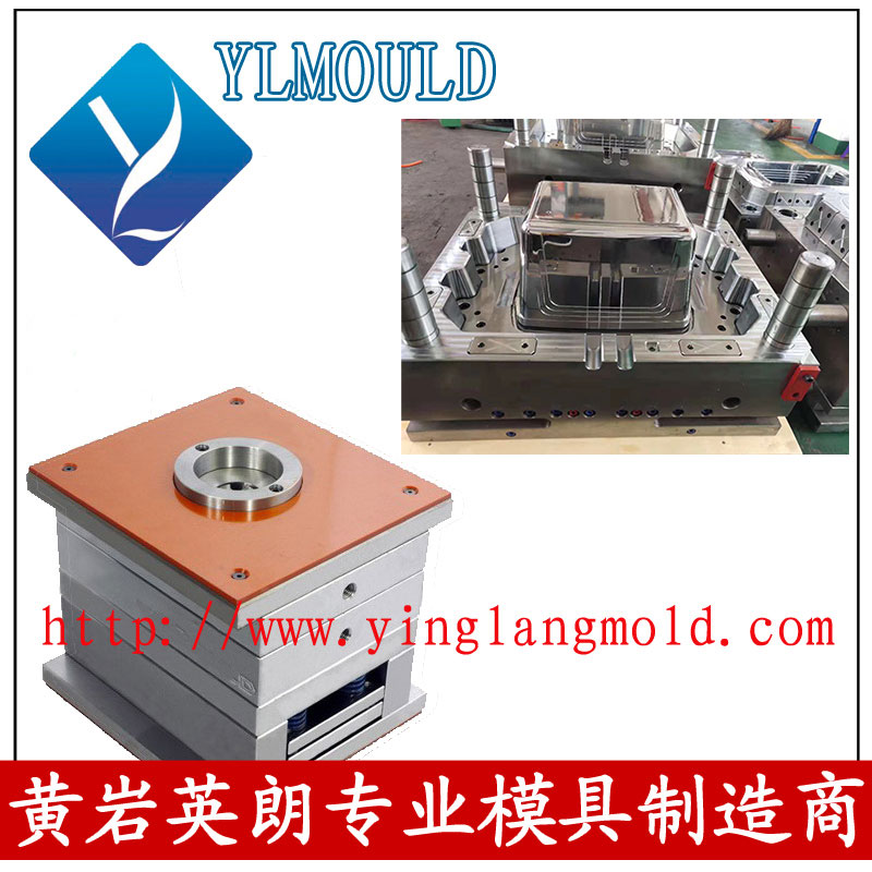 Commodity Mould/Crisper Mould 16