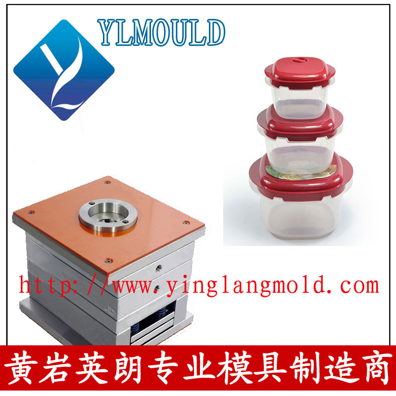 Commodity Mould/Crisper Mould 01